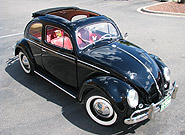 1955 VW Beetle for sale