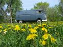 1959 VW Double Door Panel Van Passenger Side