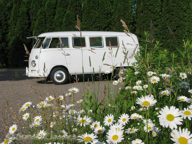 1966-vw-walk-through-bus-725.jpg